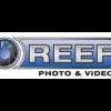 "The Blue Wild" dive / spearfishing show, Fort Lauderdale - last post by Reef Photo & Video