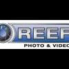Now: Aluminum Housings for GoPro & iPhone - last post by Reef Photo & Video