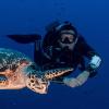 The OFFICIAL Roatan Halloween Trip Report 2013 - last post by jesterdiver