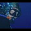 2012 Atocha Dive Adventure Week Dates... ARE HERE!!. - last post by Sqbagal