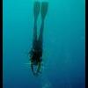 Day of Arrival Shorediving...Friday End of Wk Shorediving & OTHER - last post by alliwanders