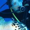 scuba bug's Photo
