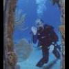 SCUBA Cures - last post by tdtexas